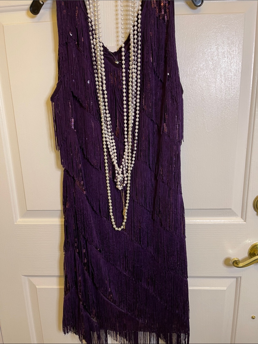 PRETTY GUIDE. 1920's Purple Flapper Dress